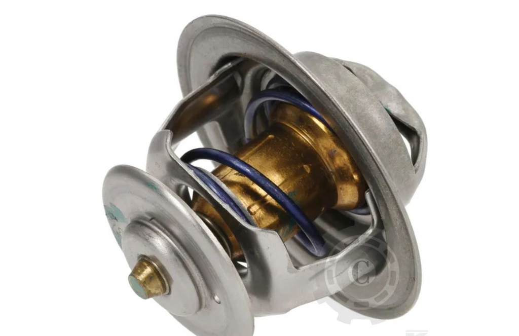 TERMOSTAT 27099400010