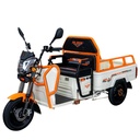 Triciclu electric Cargo RURIS PILOT 3110 A 2000 W