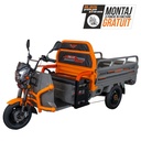 TRICICLU ELECTRIC CARGO RURIS PILOT3120G