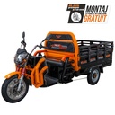 TRICICLU ELECTRIC CARGO RURIS PILOT 3130N