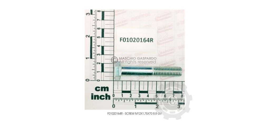 SURUB M12X1.75X70 F01020164