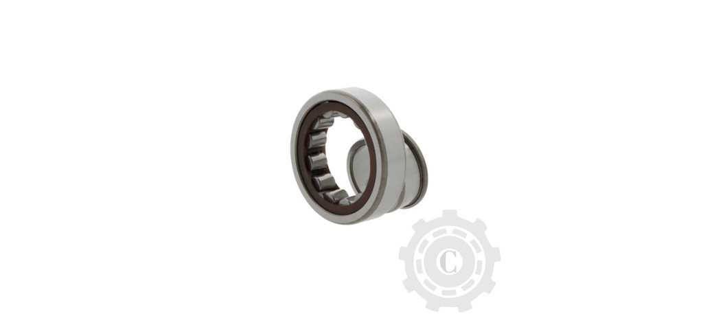 Rulmen NJ2207 EMC3 HTH