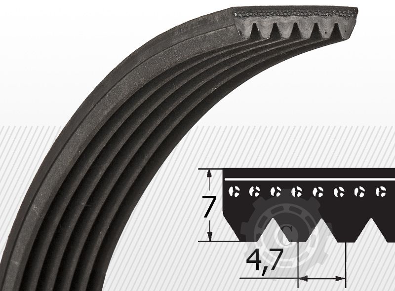 10PL2020 CUREA OPTIBELT