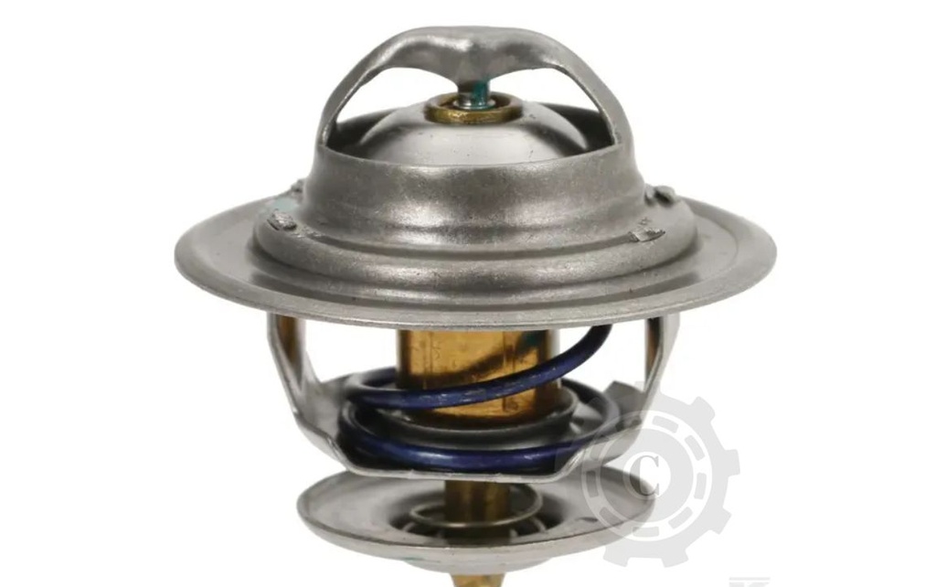 TERMOSTAT 27099400010