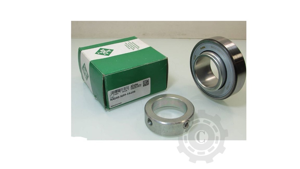 RULMENT INA RAE40NPP-FA106