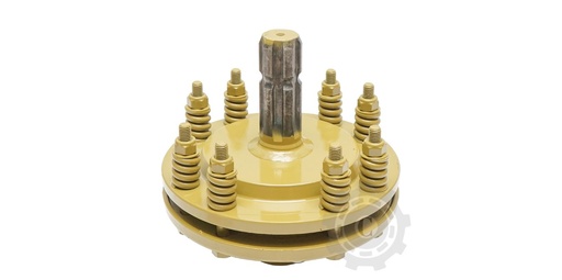 [CP066773] AMBREAJ CARDAN Z6 