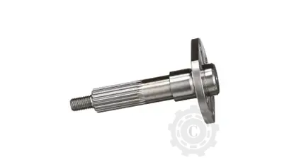 [CP067980] Ax 84032891