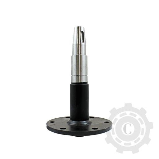 [CP067982] Ax 84457187