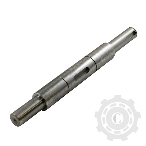 [CP067993] Ax 84981299