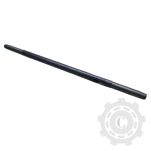 [CP068038] Ax 84460842