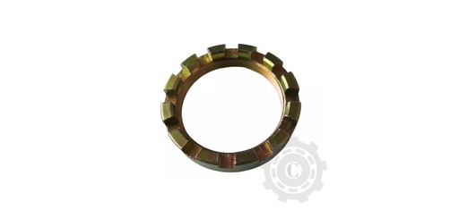 [CP070159] BUCSA M48X1,5