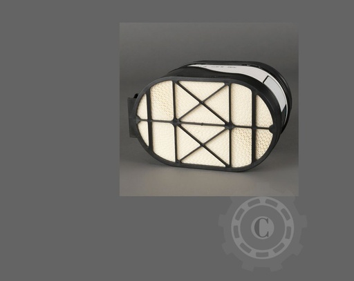 [CP078420] FILTRU AER P617631