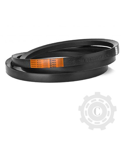 [CP081477] 344311127 CUREA