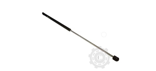 [CP081768] TELESCOP JD