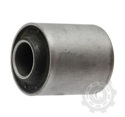 [CP082053] Bucsa 16001743