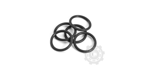 [CP083201] ORING BUC