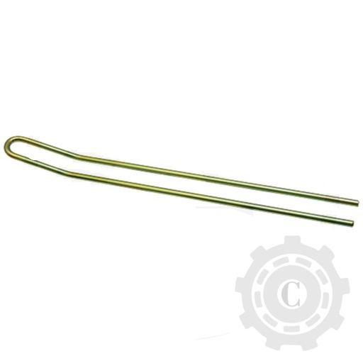 [CP084026] DINTE ELASTIC