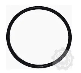 [CP085109] INEL 119.2X5.7