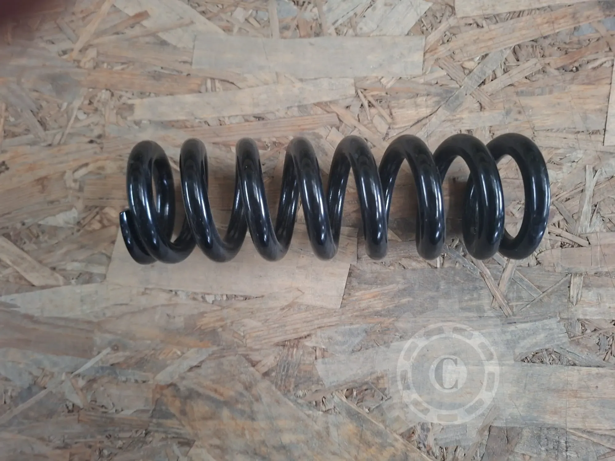 [CP085602] Arc disc Hector madara