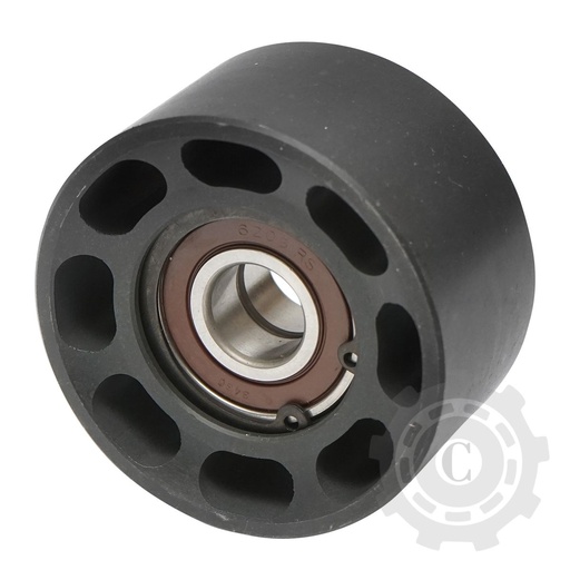 [CP001951] ROLA DE GHIDAJ