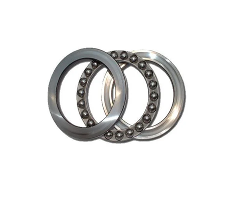 [CP015446] Rulment KYK 51114