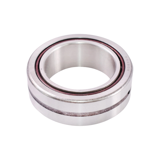 [CP006534] Rulment NA4909