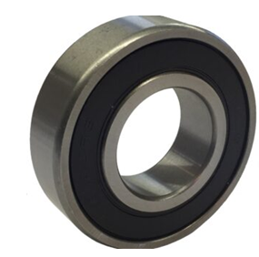 [CP017287] Rulment URB NJ310E