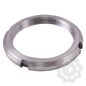 [CP008577] PIULITA CANELATA FUZETA SPATE U445