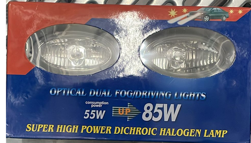 [CP031282] SET LAMPA