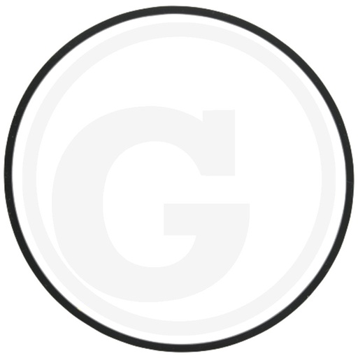 [CP016437] INEL R34733