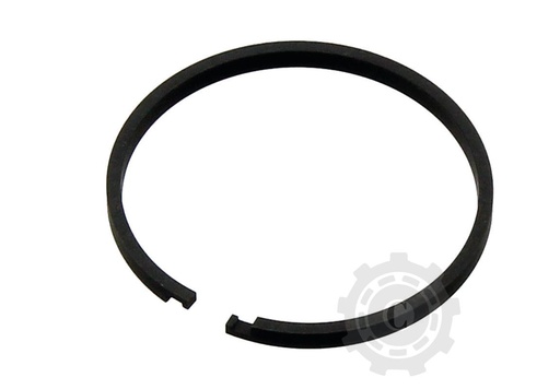 [CP017619] Segmenti PRIZA PUTERE