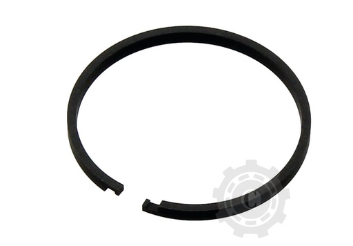 [CP017619] Segmenti PRIZA PUTERE