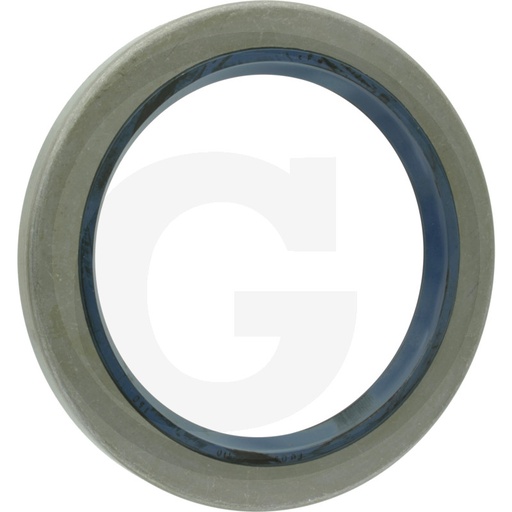 [CP019979] SIMERING 195000002371241