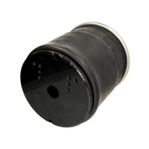 [CP055471] 528071 PERNA AER