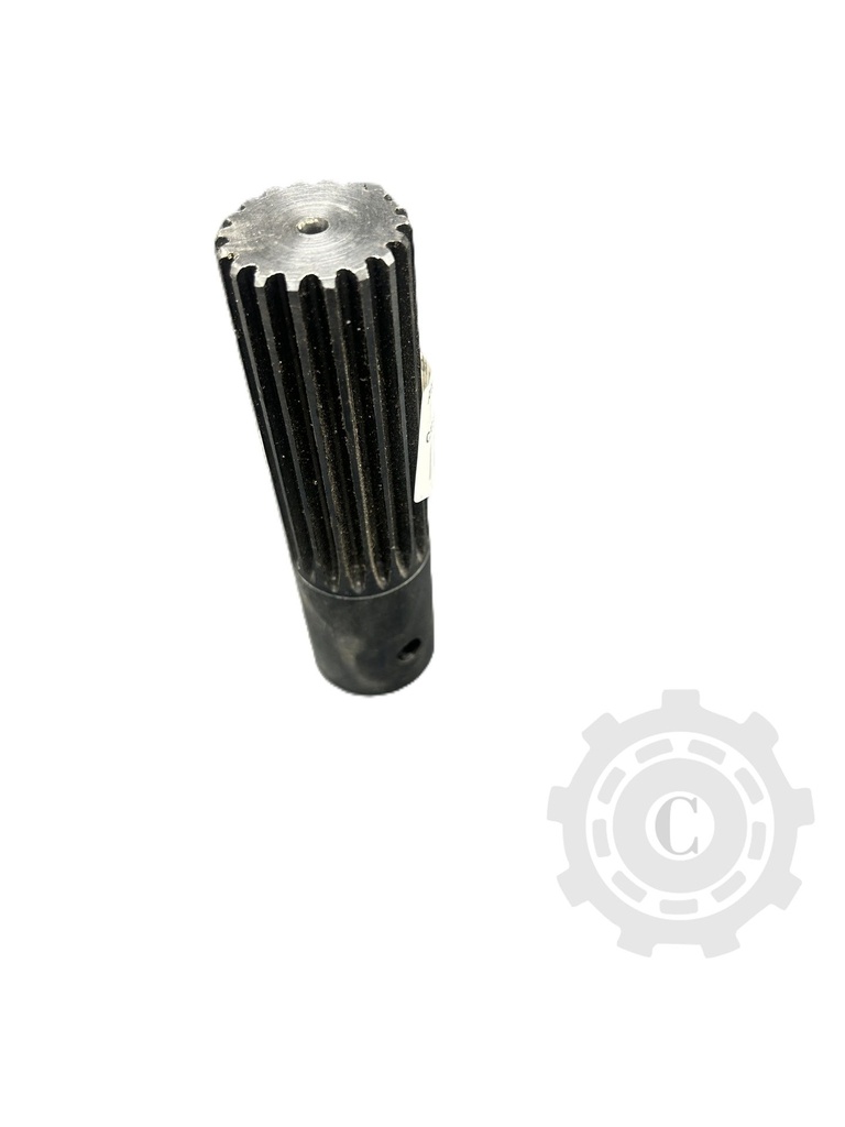 Arbore 603837