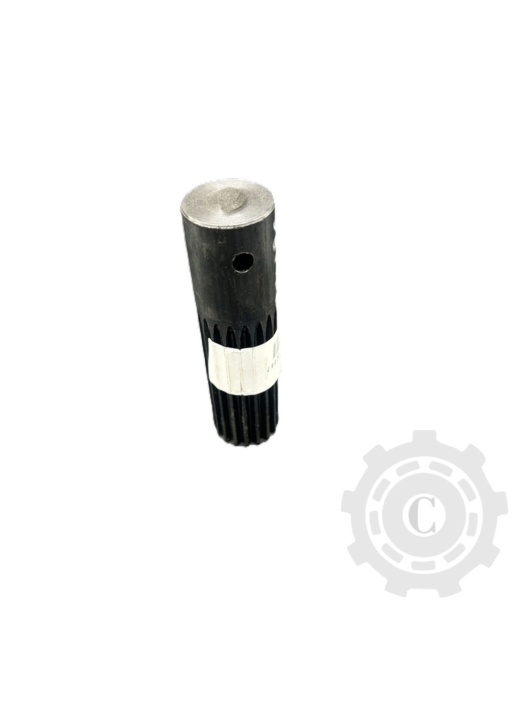 Arbore 603837