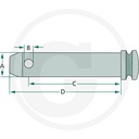 BOLT TIRANT CENTRAL CAT.2