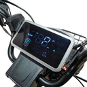 TRICICLU ELECTRIC RURIS PILOT3020G
