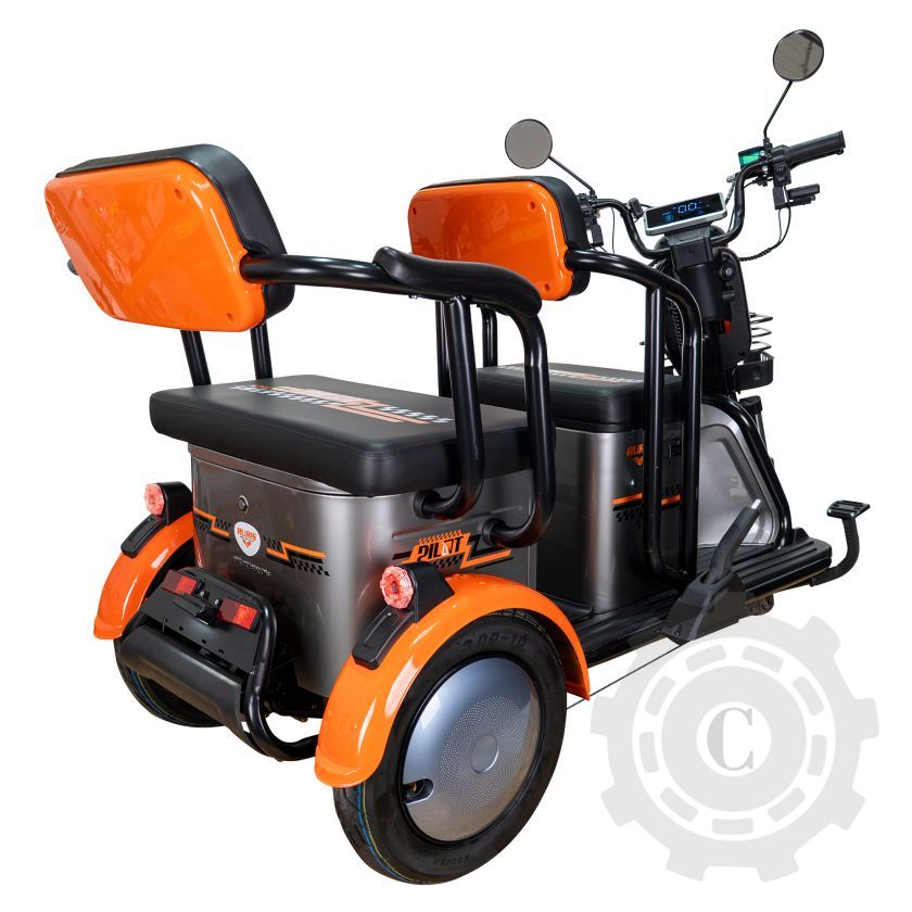 TRICICLU ELECTRIC RURIS PILOT3020G