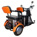 TRICICLU ELECTRIC RURIS PILOT3020G