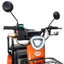 TRICICLU ELECTRIC RURIS PILOT3020G