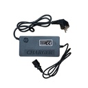TRICICLU ELECTRIC RURIS PILOT3020G