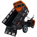 TRICICLU ELECTRIC CARGO RURIS PILOT 3130N