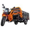 TRICICLU ELECTRIC CARGO RURIS PILOT 3130N