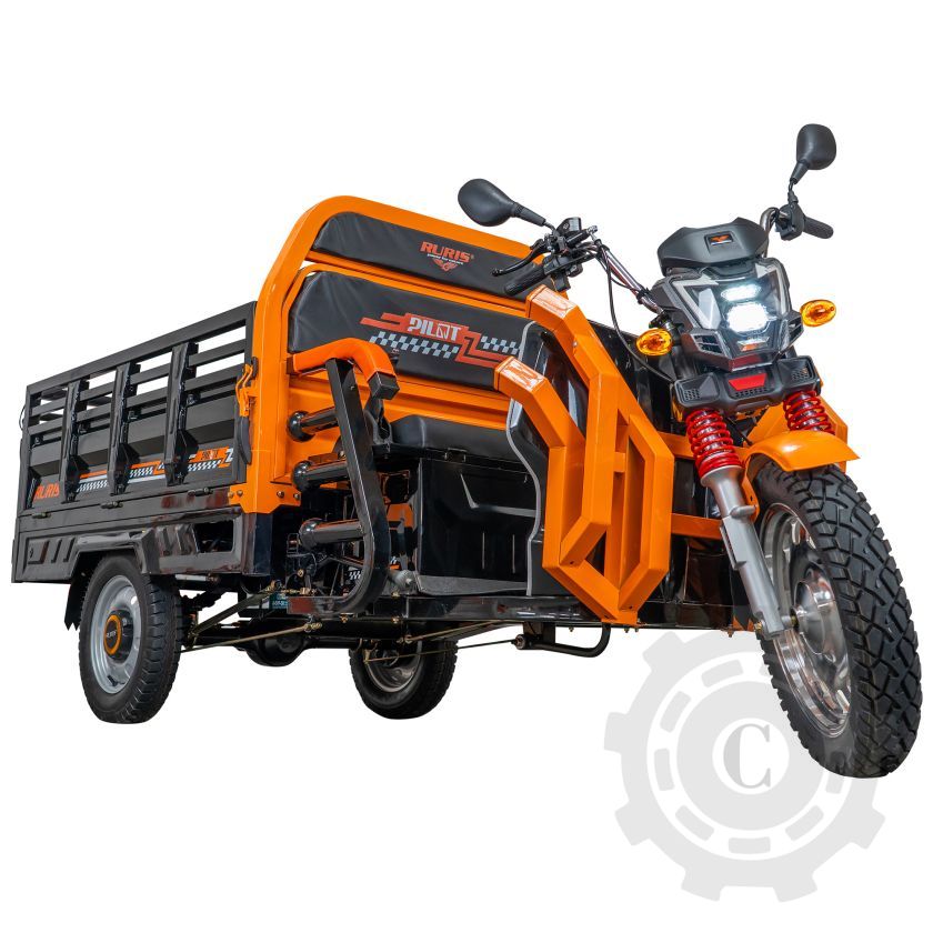 TRICICLU ELECTRIC CARGO RURIS PILOT 3130N