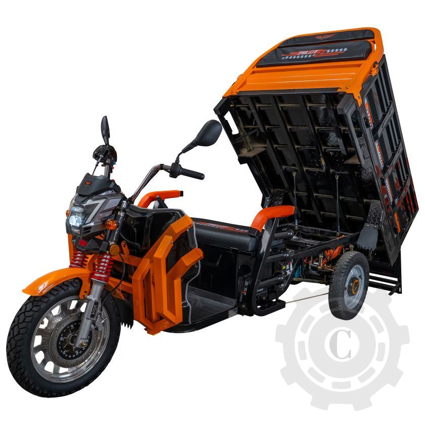 TRICICLU ELECTRIC CARGO RURIS PILOT 3130N