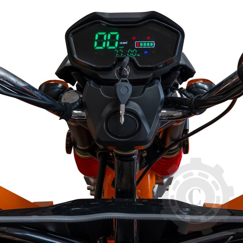 TRICICLU ELECTRIC CARGO RURIS PILOT 3130N