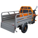 TRICICLU ELECTRIC CARGO RURIS PILOT3120G