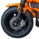 TRICICLU ELECTRIC CARGO RURIS PILOT3120G