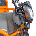 TRICICLU ELECTRIC CARGO RURIS PILOT3120G